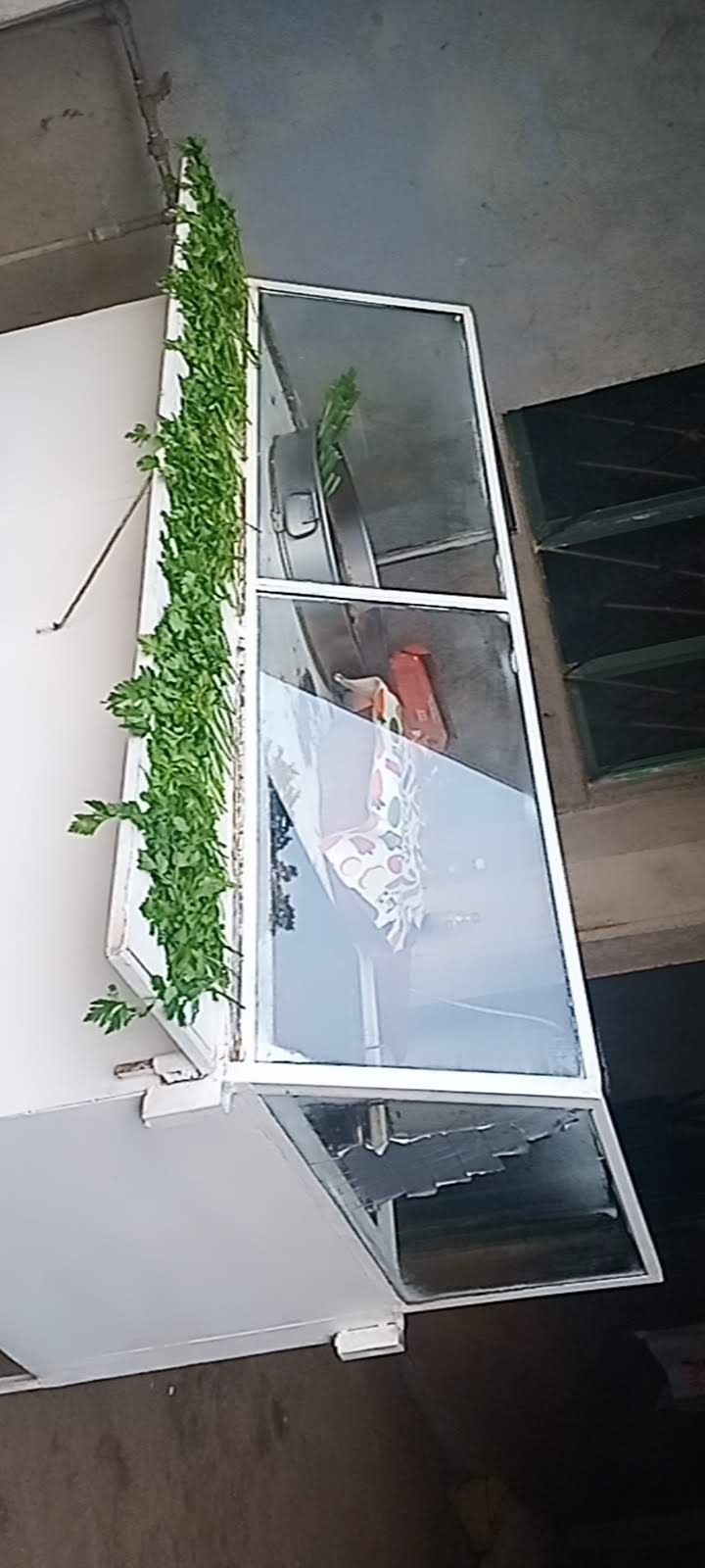 Imagen vertical del puesto de Taquería Don sabroson